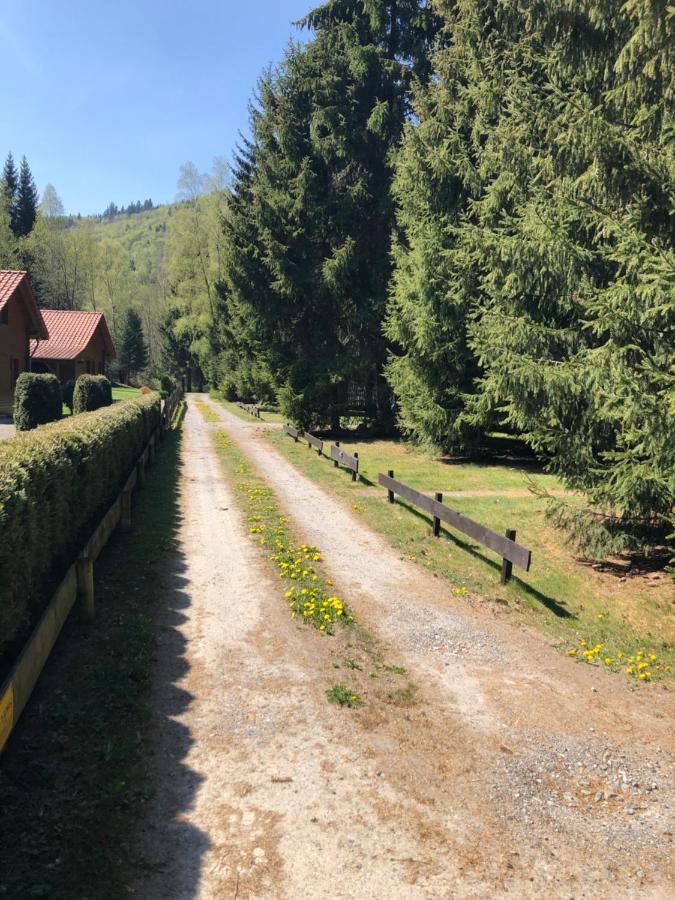 Ferienhaeuser Am Waldschloesschen Lautenthal Εξωτερικό φωτογραφία
