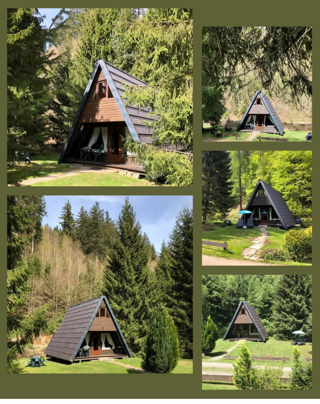 Ferienhaeuser Am Waldschloesschen Lautenthal Εξωτερικό φωτογραφία