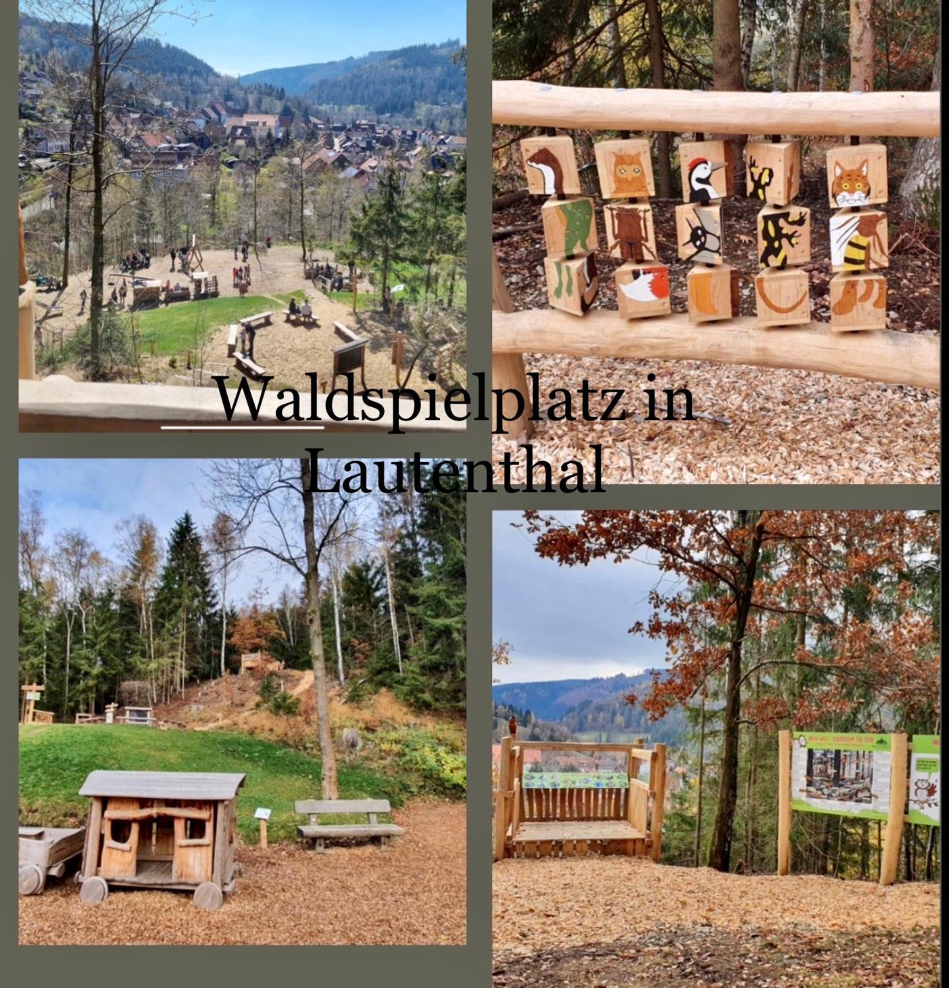 Ferienhaeuser Am Waldschloesschen Lautenthal Εξωτερικό φωτογραφία