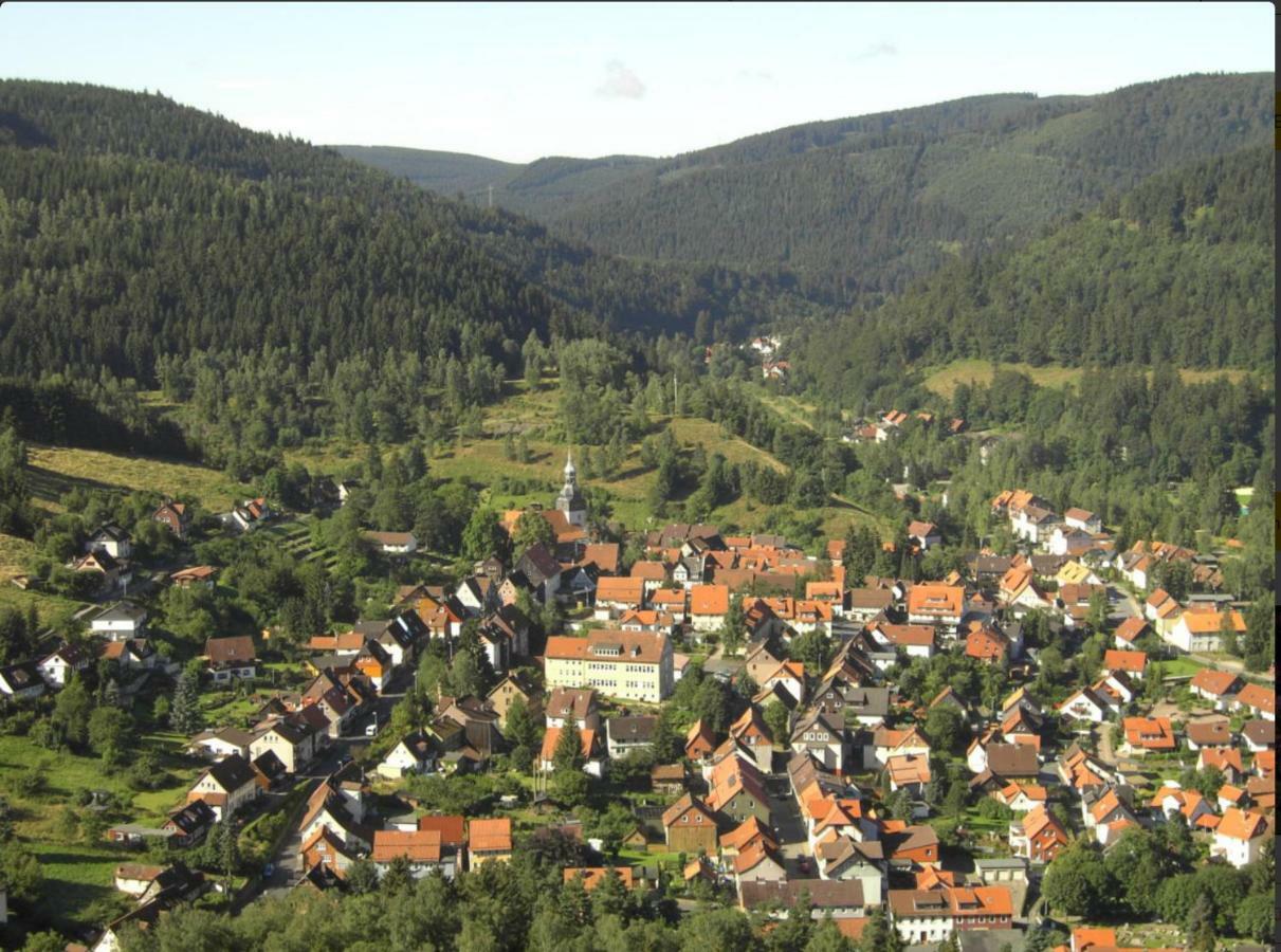 Ferienhaeuser Am Waldschloesschen Lautenthal Εξωτερικό φωτογραφία