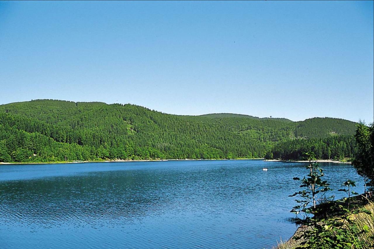Ferienhaeuser Am Waldschloesschen Lautenthal Εξωτερικό φωτογραφία