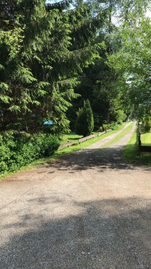 Ferienhaeuser Am Waldschloesschen Lautenthal Εξωτερικό φωτογραφία
